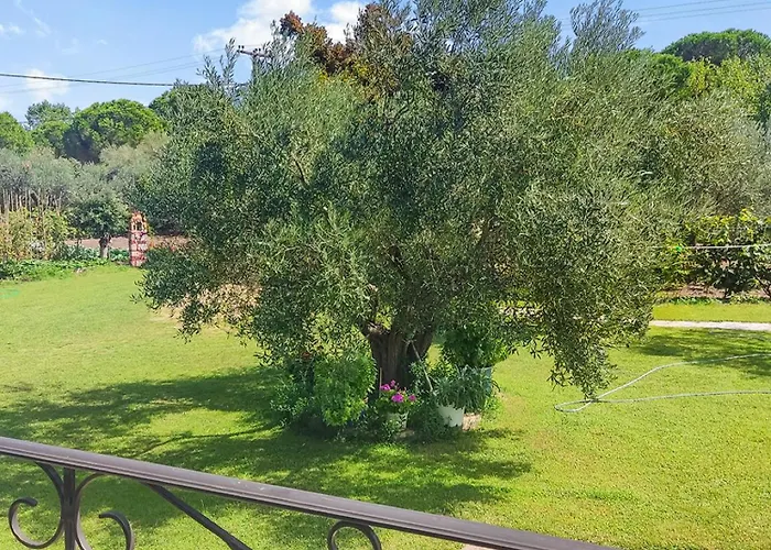 Hébergement de vacances House In With Big Garden For 5 Persons.