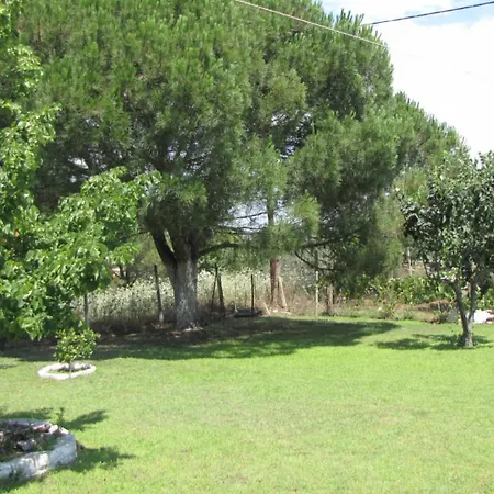 House In With Big Garden For 5 Persons. Holiday home Vourvourou