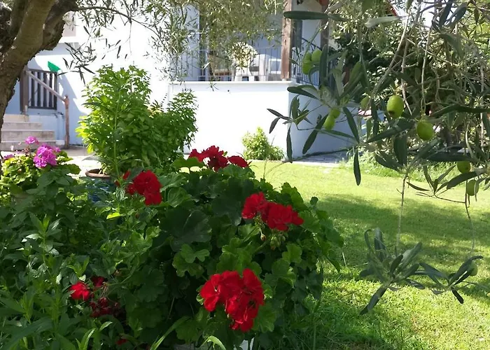House In With Big Garden For 5 Persons. * Vourvourou